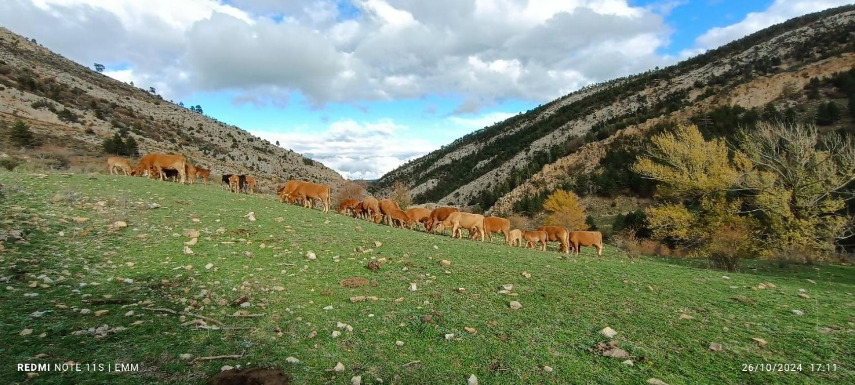 Fortanete Apartamentos De Turismo Rural La Rocha מראה חיצוני תמונה